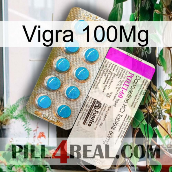 Vigra 100Mg new07.jpg